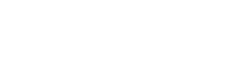 Institut Teknologi PLN